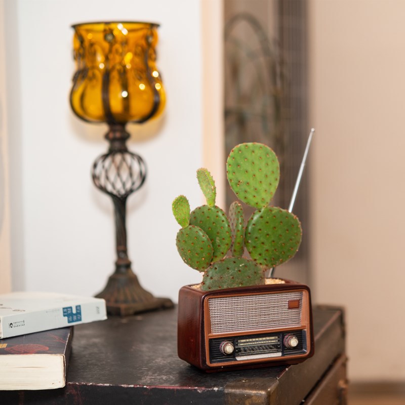 Radio Plant Pot