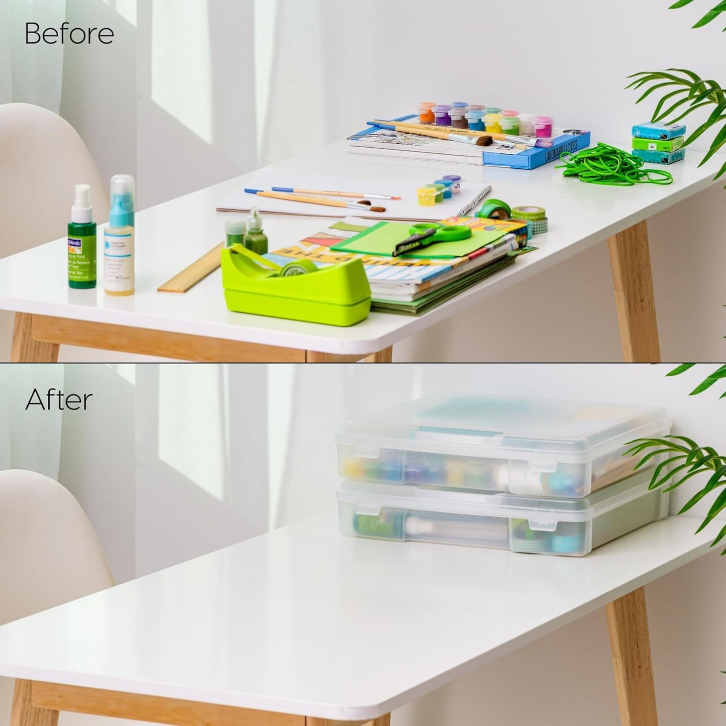 Thick Organizer Storage Case