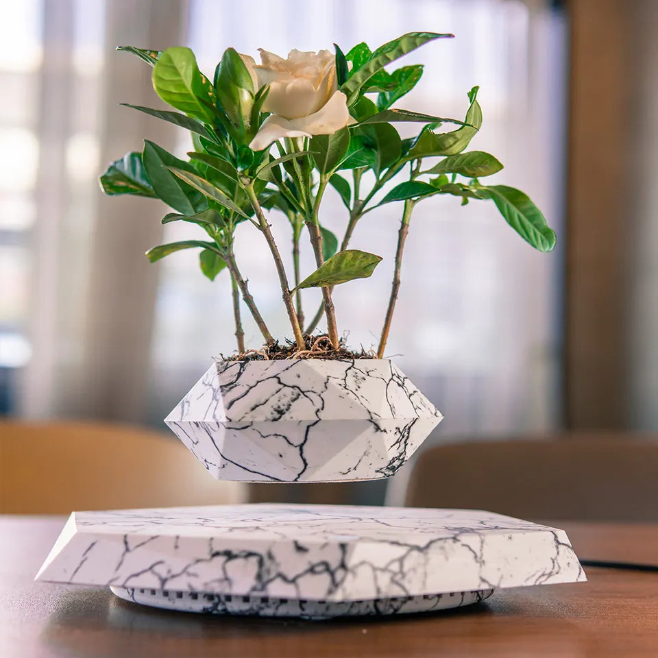 flying plant pot Magnetic Levitating Bonsai Pot – Flying Carts