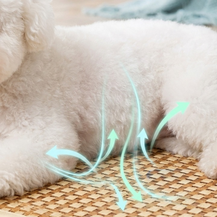 Comfort Pet Mat