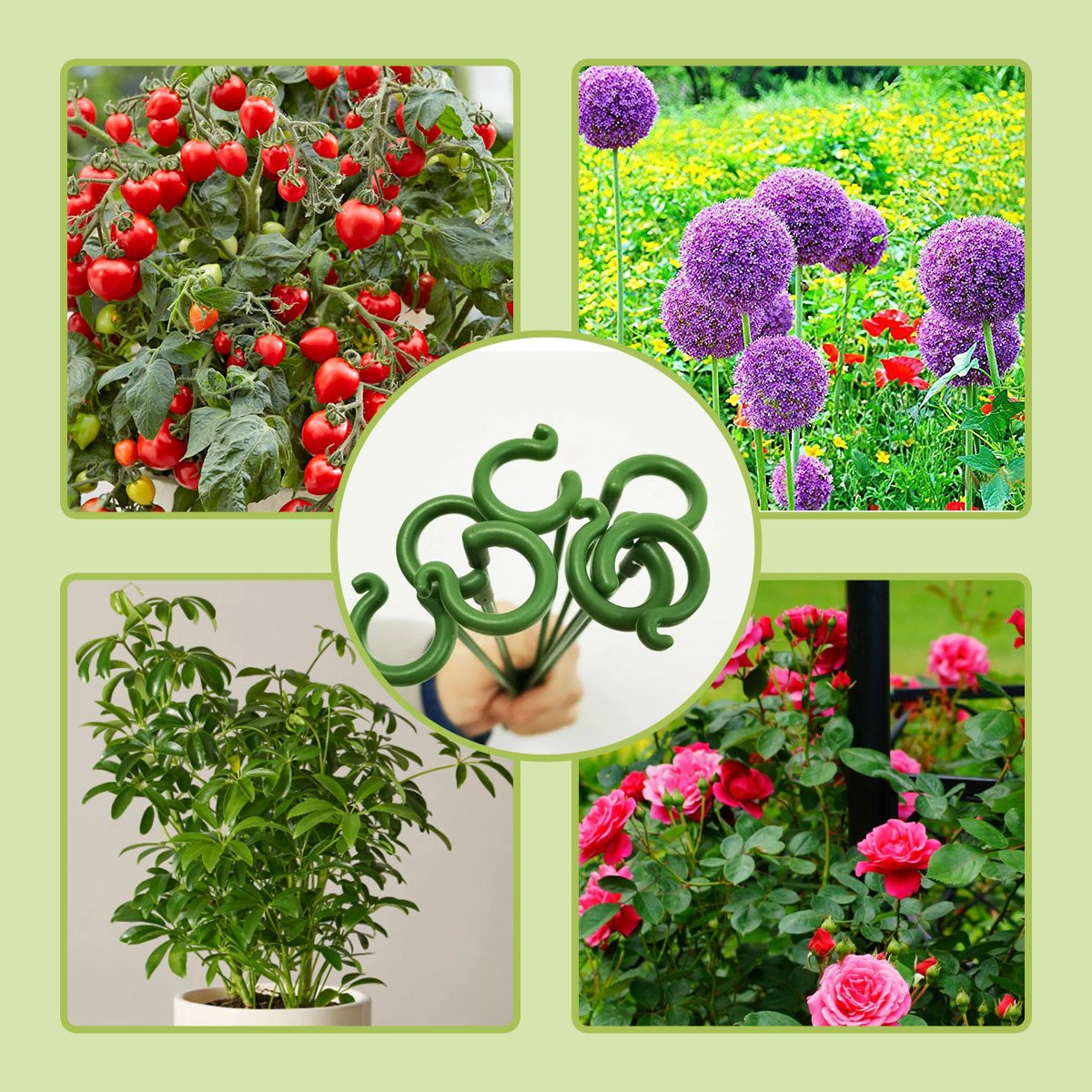 Plant Support (10PCS)