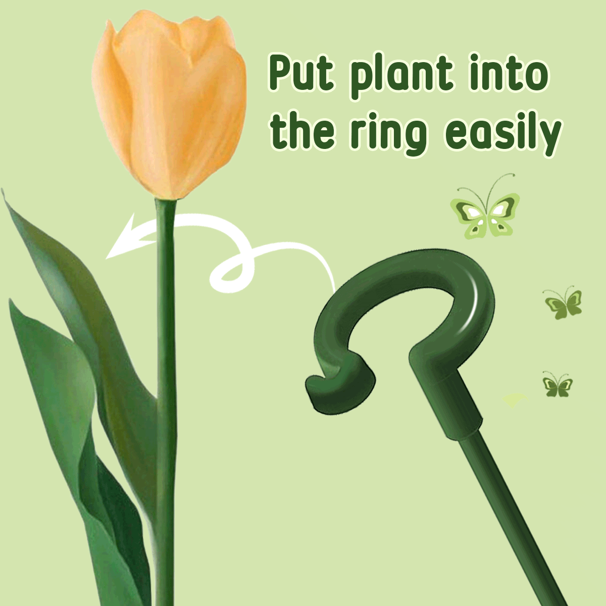 Plant Support (10PCS)