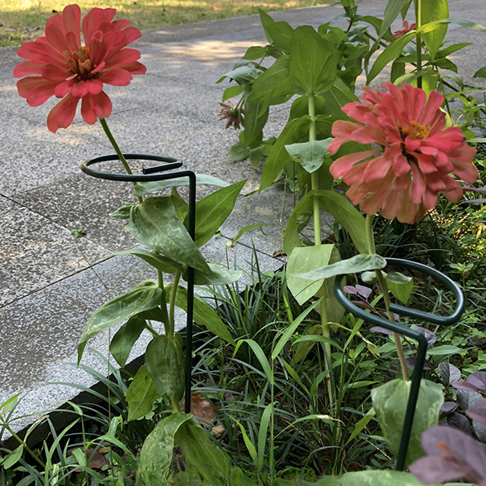 Plant Support (10PCS)