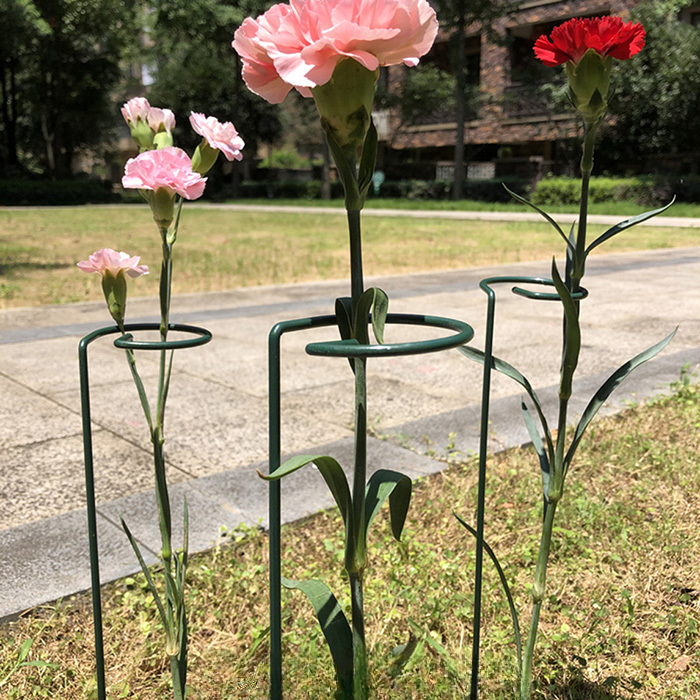 Plant Support (10PCS)
