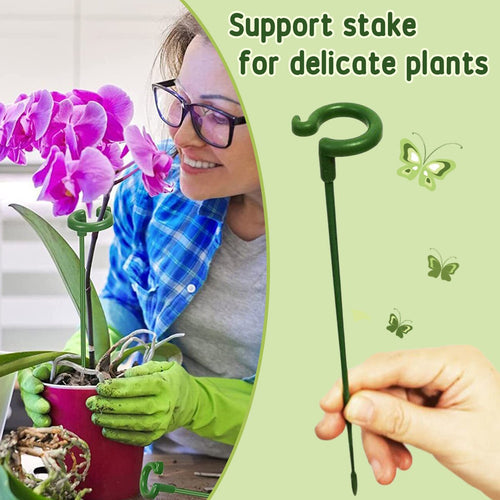 Plant Support (10PCS)