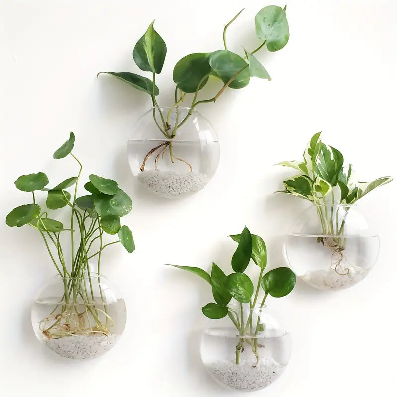 Wall Hanging Glass Flower Plant