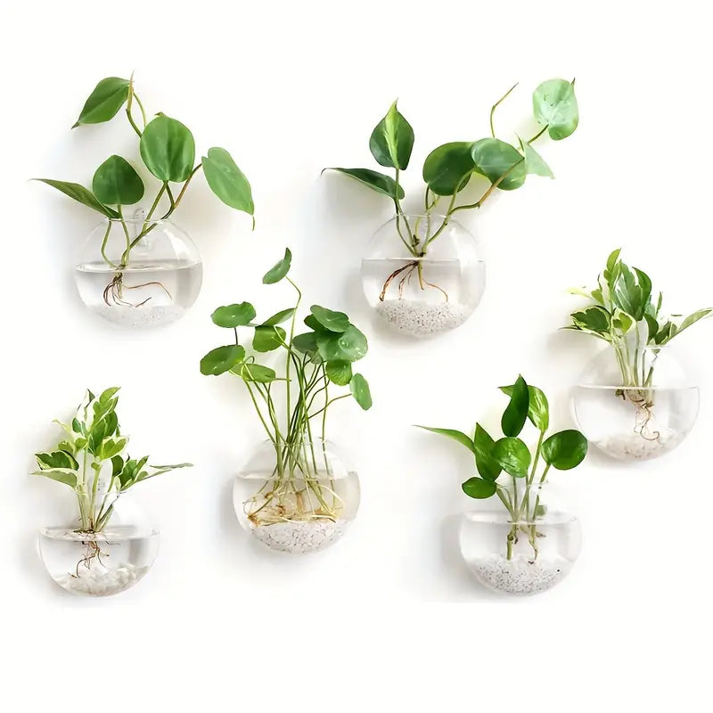 Wall Hanging Glass Flower Plant