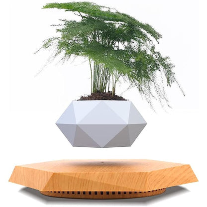 Magnetic Levitating Bonsai Pot