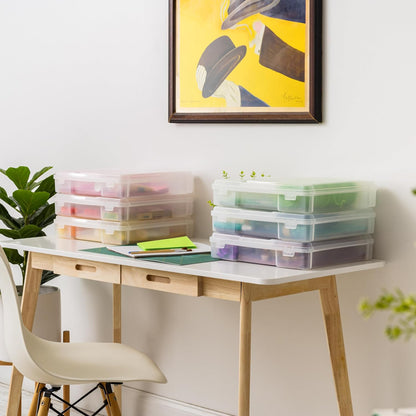 Thick Organizer Storage Case