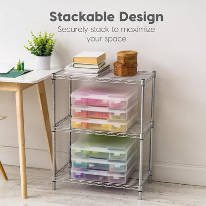 Thick Organizer Storage Case