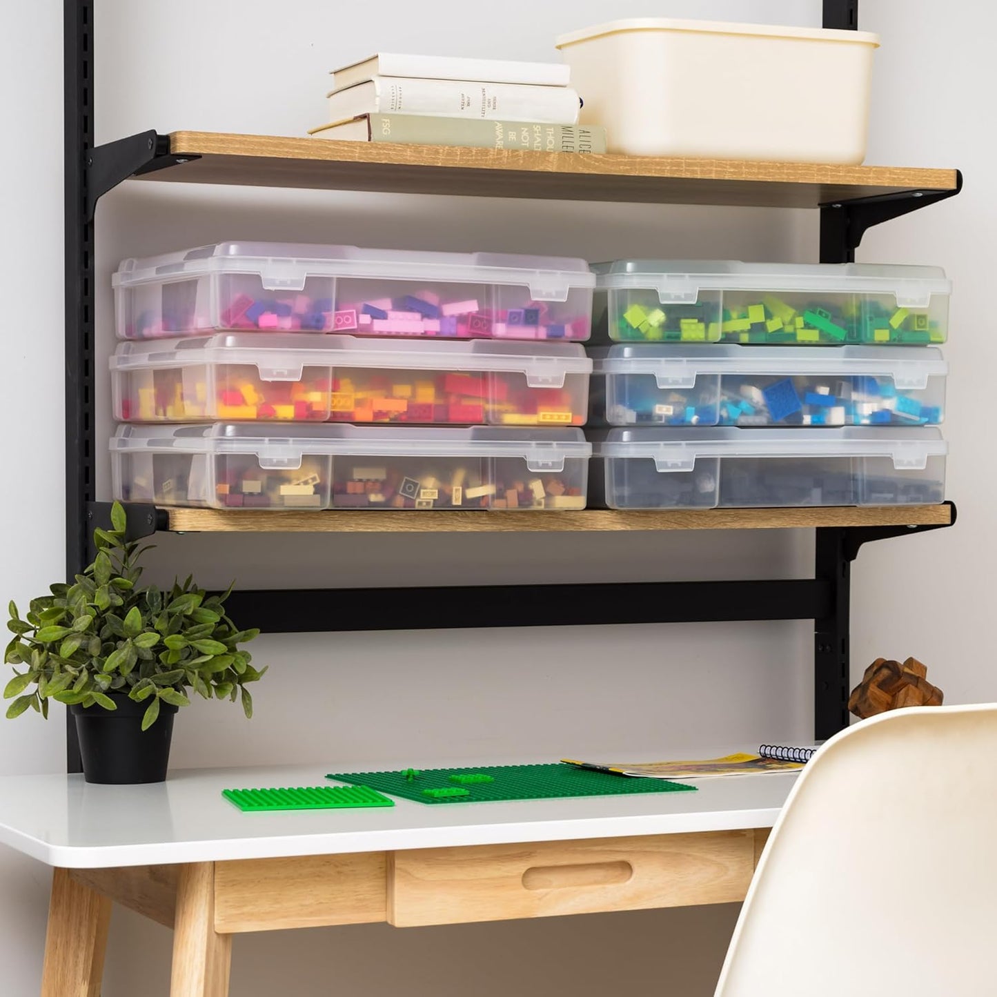 Thick Organizer Storage Case
