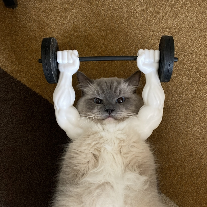 Funny Cat Muscle Arms