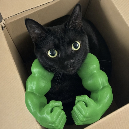 Funny Cat Muscle Arms