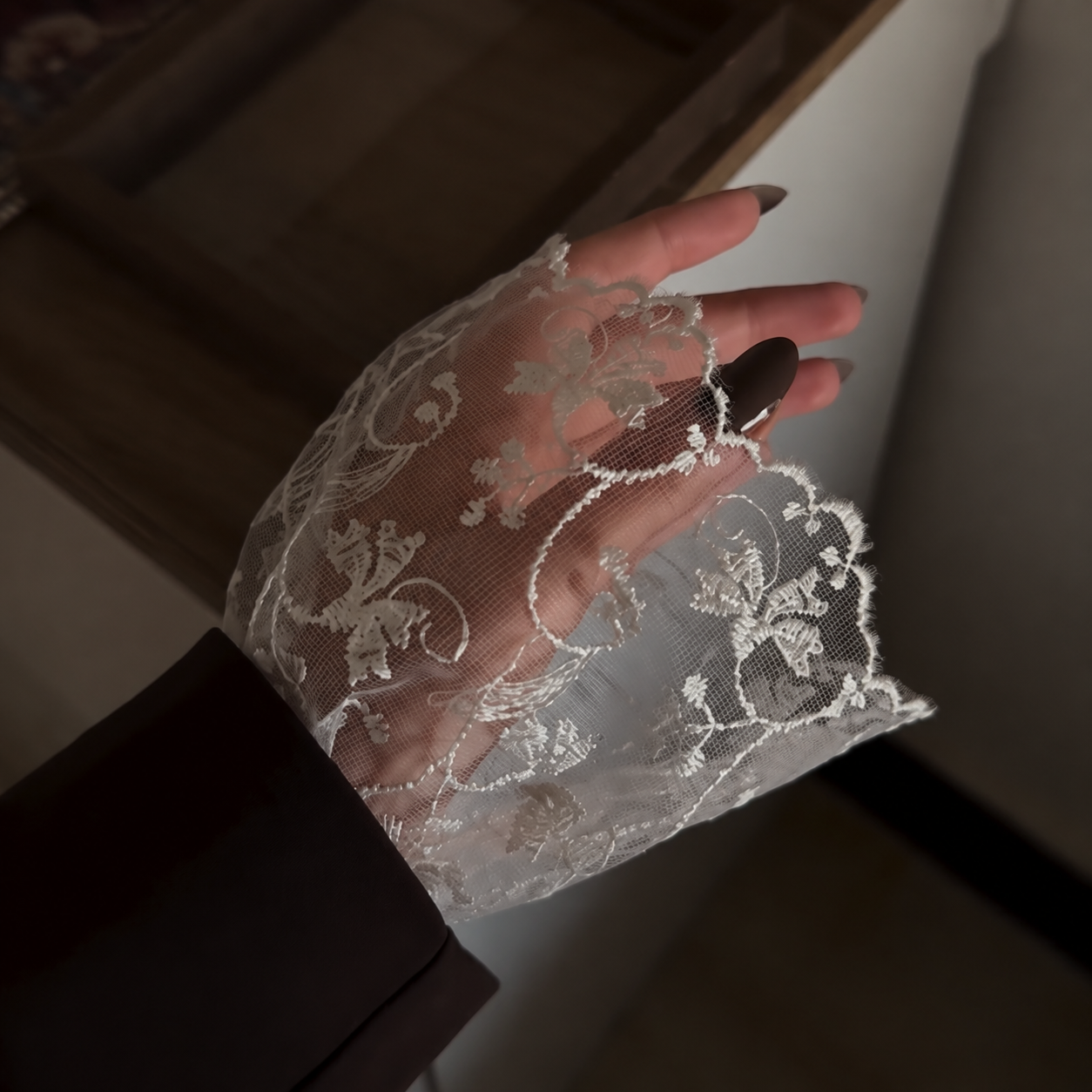 Lace Cuff Sleeve