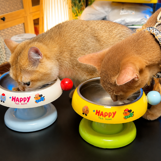 Pet Feeding Bowl