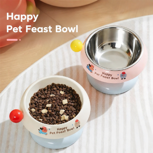 Pet Feeding Bowl