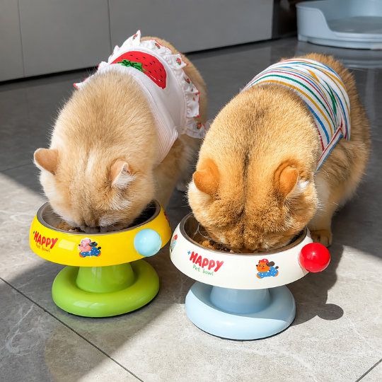 Pet Feeding Bowl