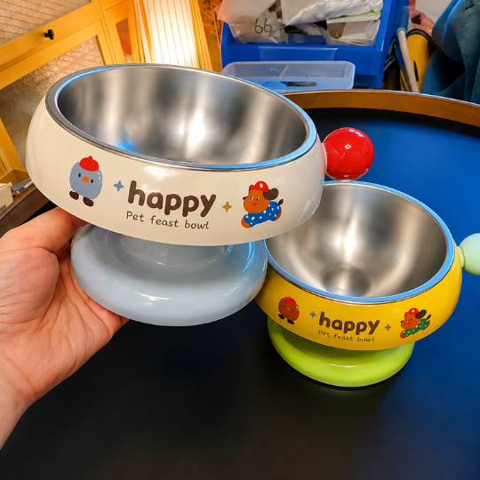 Pet Feeding Bowl