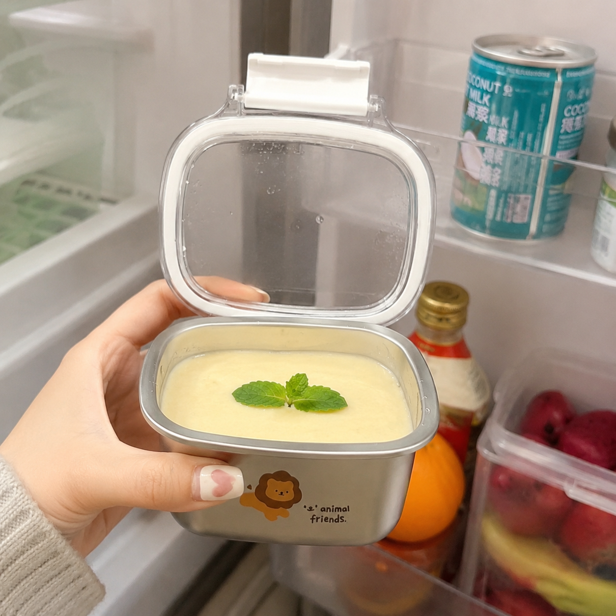 Portable Meal Box