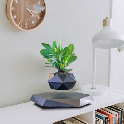 Magnetic Levitating Bonsai Pot