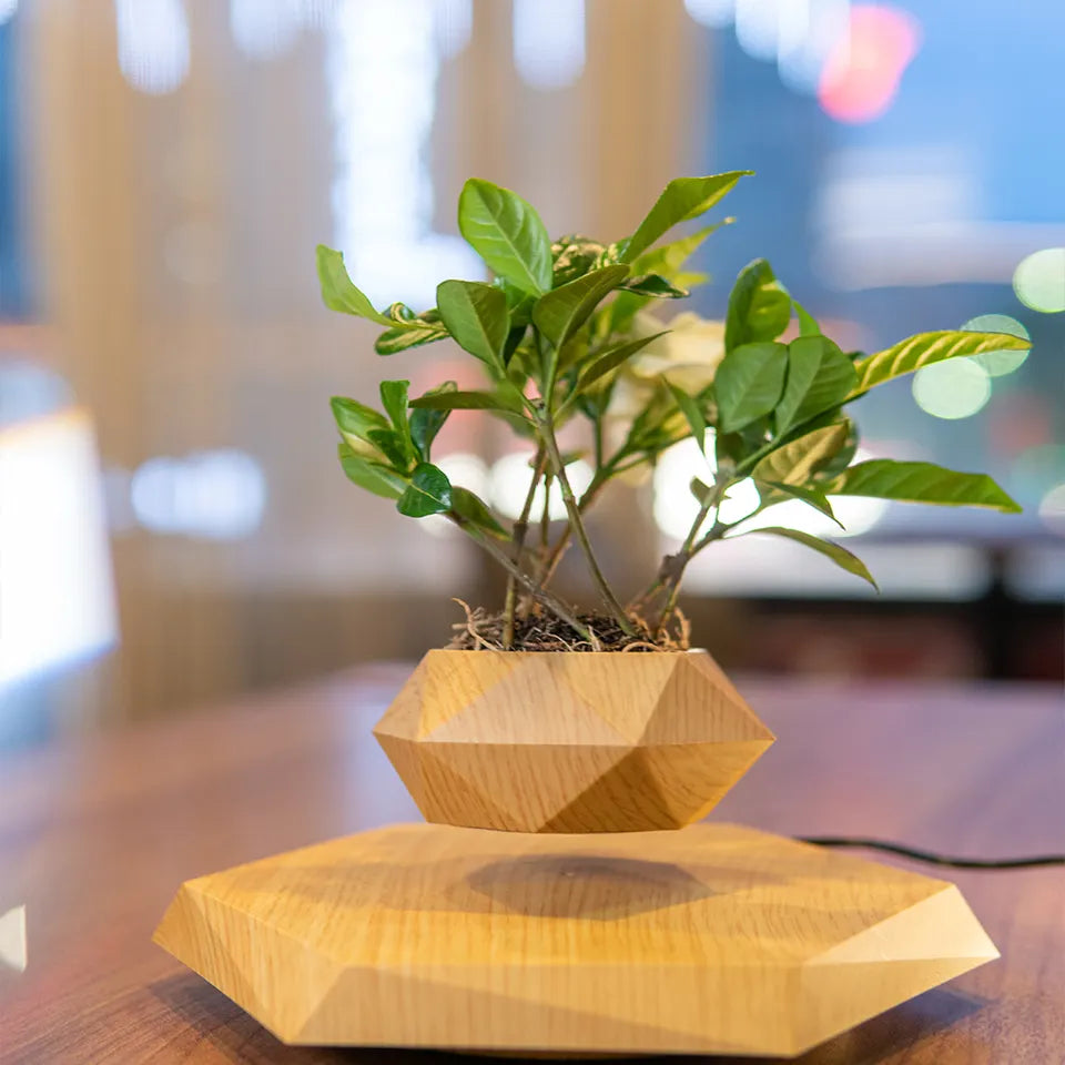 Magnetic Levitating Bonsai Pot