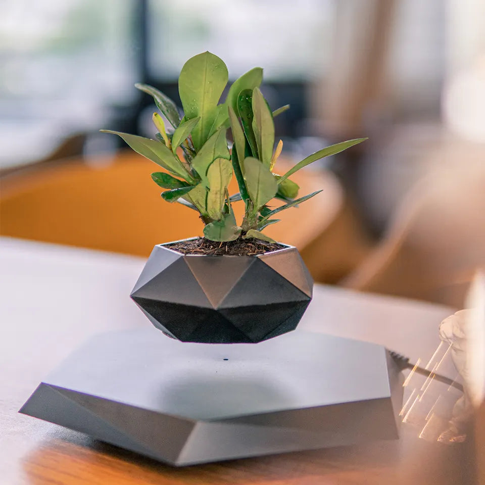 floating magnetic bonsai tree Magnetic Levitating Bonsai Pot – Flying Carts