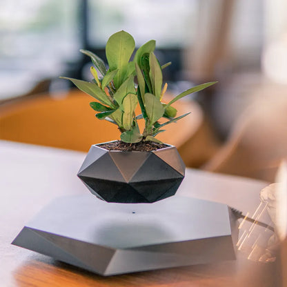 Magnetic Levitating Bonsai Pot