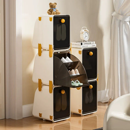 Shoe Storage Boxes
