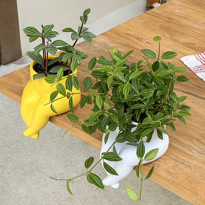 Leg Dangler Ceramic Pot