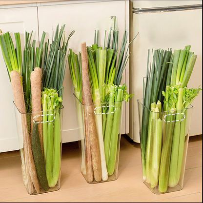 Veggie Fresh Container