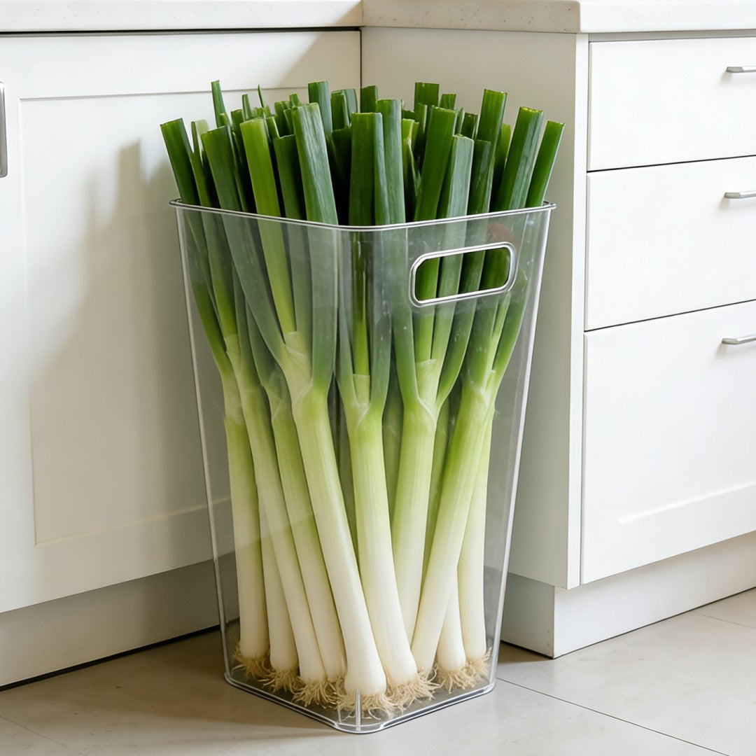 Veggie Fresh Container