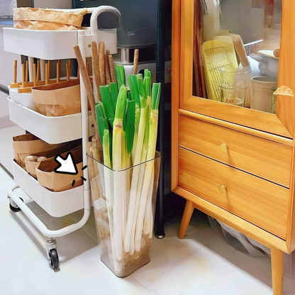 Veggie Fresh Container