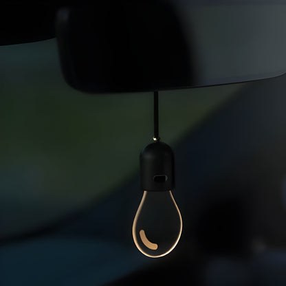 Hanging Car Interior Light