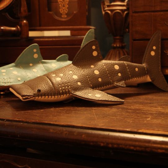 Fish Storage Case