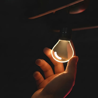 Hanging Car Interior Light