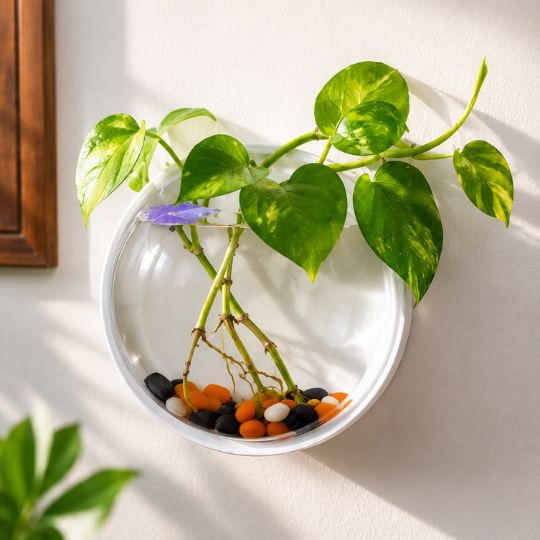 Wall Plant Decor