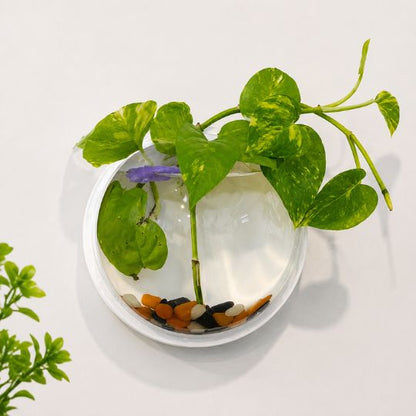 Wall Plant Decor