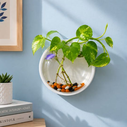Wall Plant Decor
