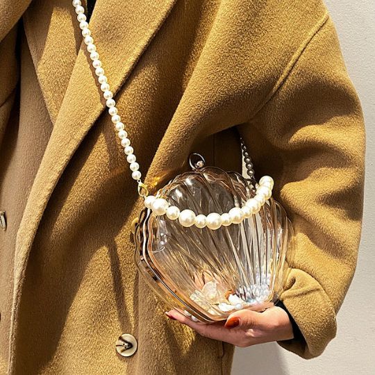 Transparent Shell Bag