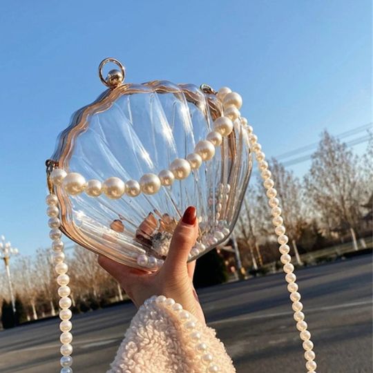 Transparent Shell Bag