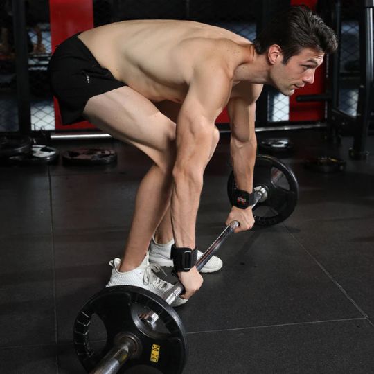 Weight Lifting Grip & Straps