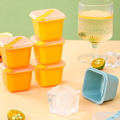 Ice Cube Container