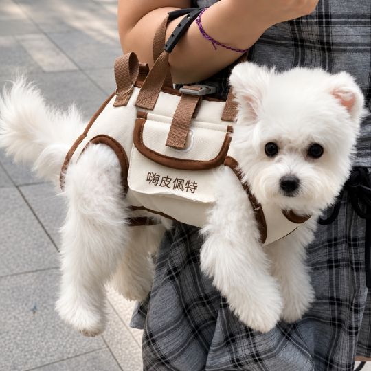 Multifunctional Dog Lift Harness