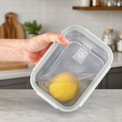 Stainless Steel Food Container