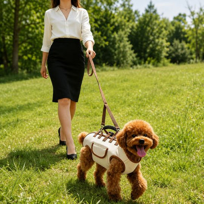 Multifunctional Dog Lift Harness