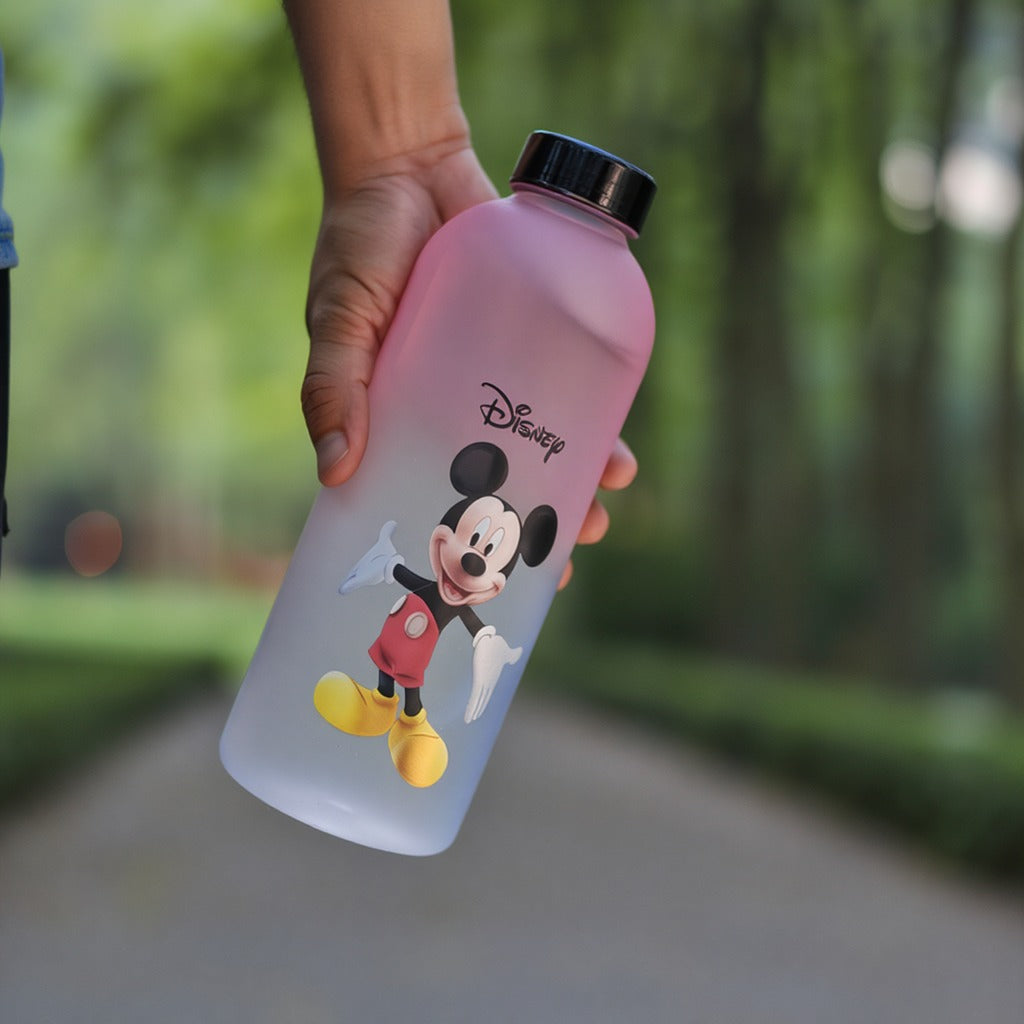 Disney Gradient Water Bottle