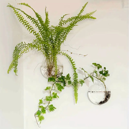Wall Hanging Glass Flower Plant