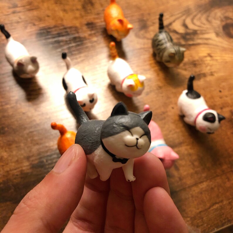 Cute Cats Figures