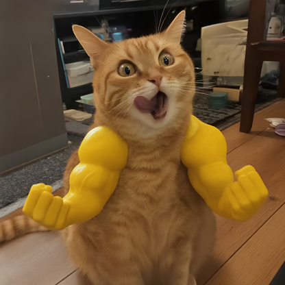 Funny Cat Muscle Arms