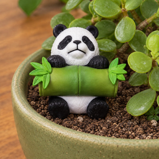 PandaPatch Planter Decor — panda holding a bamboo cylinder